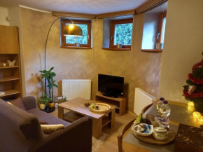 Vila apartmán U Přehrady